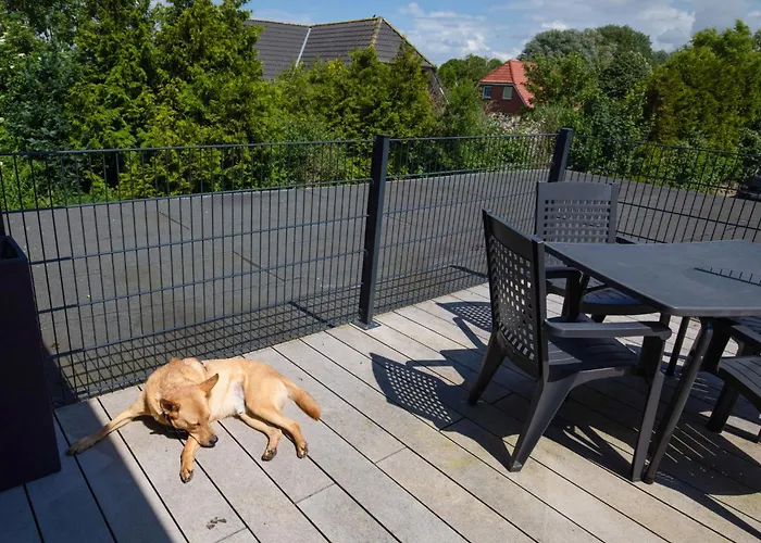 Seeschwalbe By Interhome Apartment